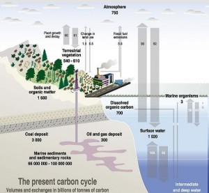 CLIMATE CHANGE5